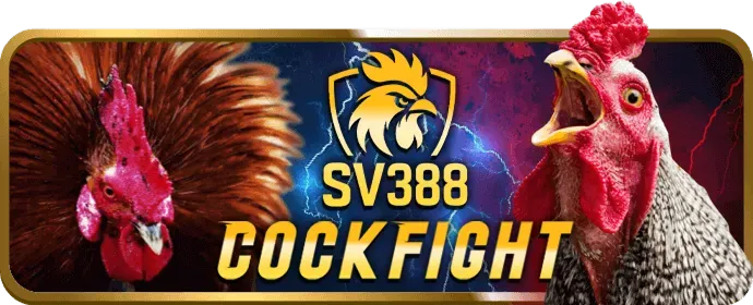 Người chơi chiến thắng tại máy slot qh88 game